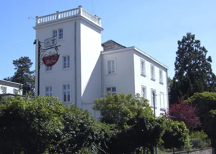 Burghotel Ad Sion Otel 3*